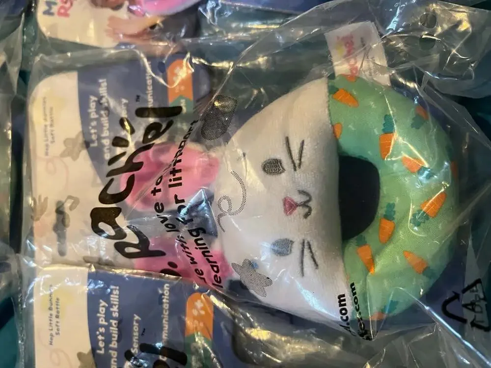 (Ms. Rachel Hop Little Bunny